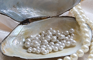 Pearl birthstone
