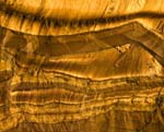 Tiger's Eye