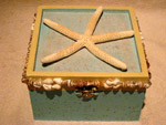 Sea Star & Sand Box